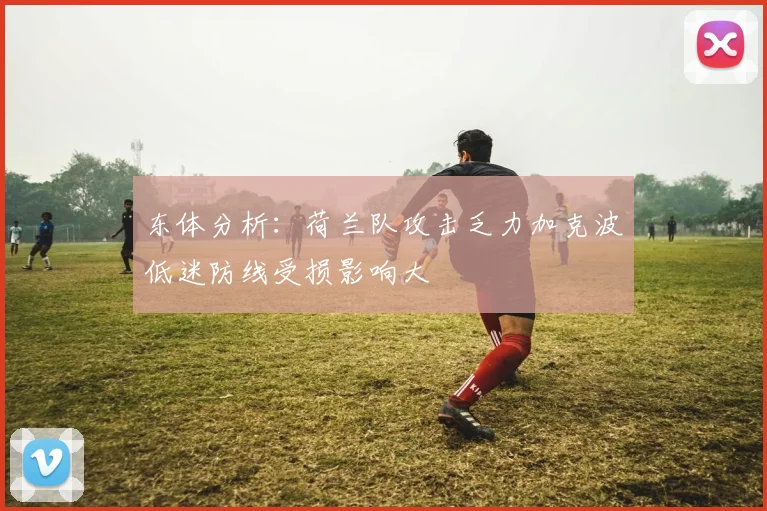 东体分析：荷兰队攻击乏力加克波低迷防线受损影响大